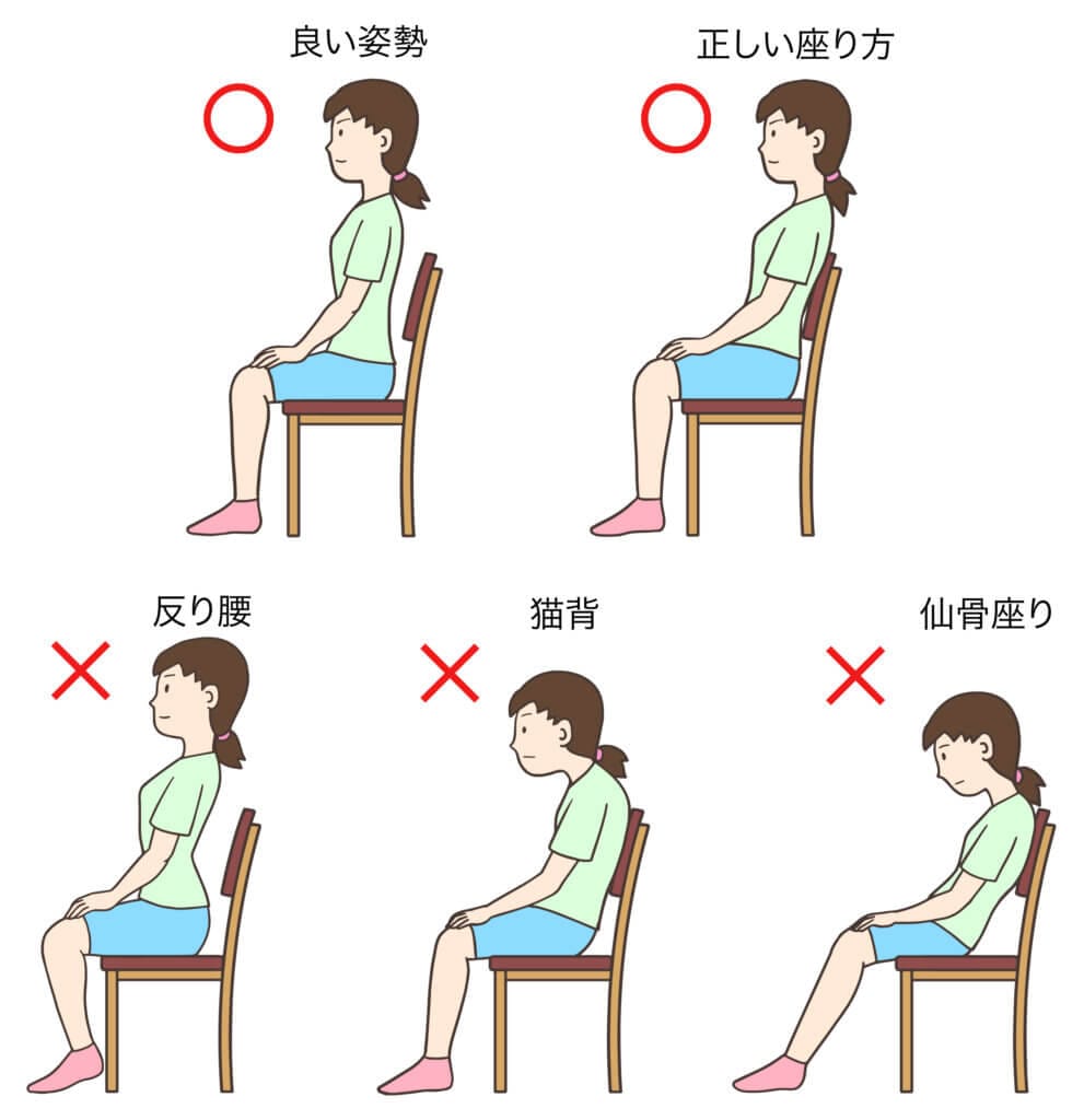 坐骨で座り背筋を伸ばした正しい座り姿勢